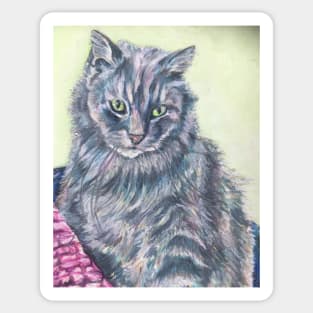 Fluffy grey cat Sticker